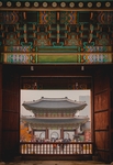 城市