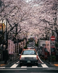 城市