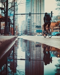 城市