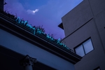 城市
