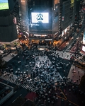城市