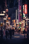 城市