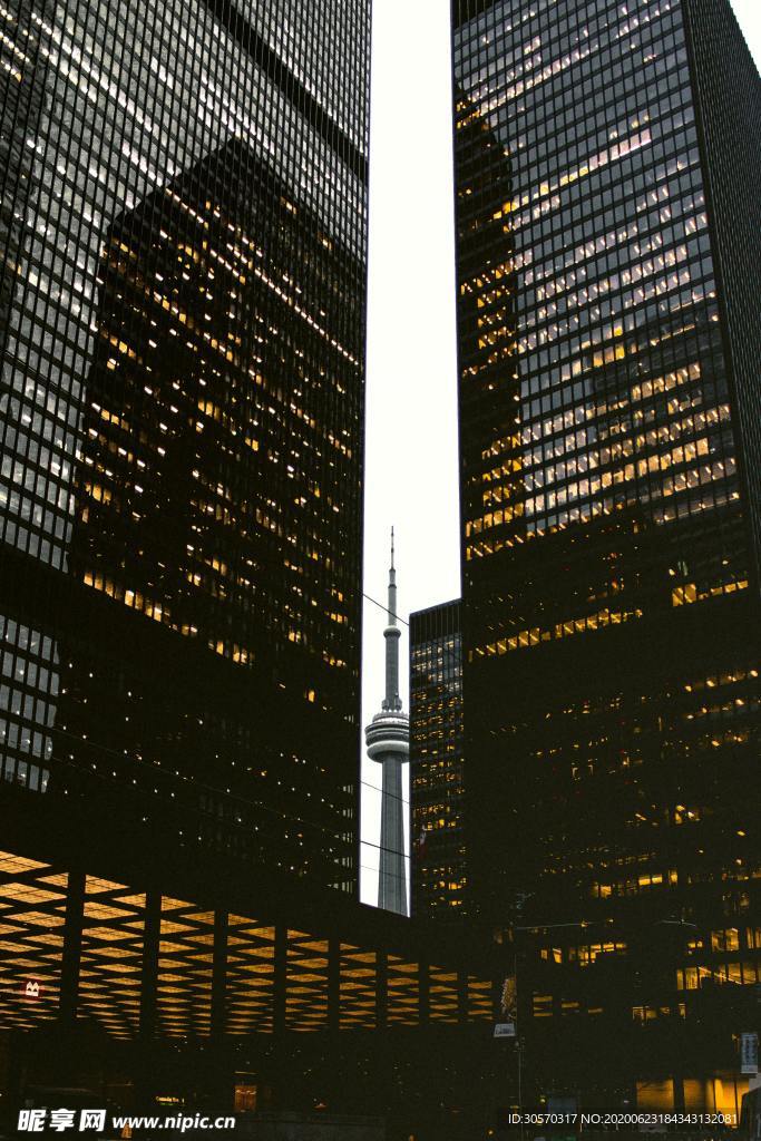 城市