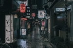 城市