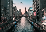 城市