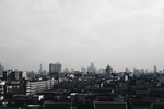 城市