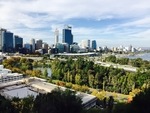 城市