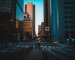 城市