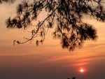 太阳