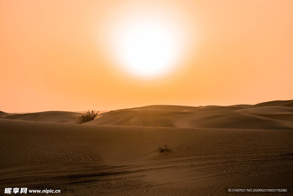 太阳