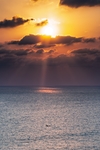 太阳
