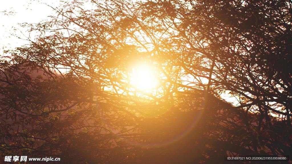 太阳