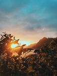 太阳