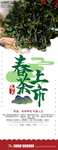 春茶上市