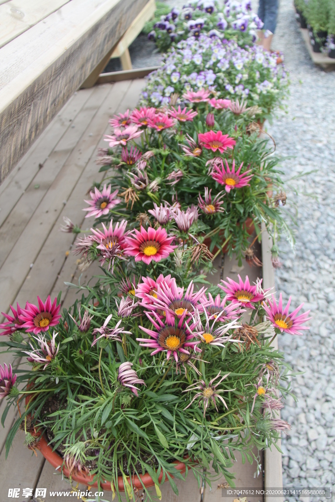 花