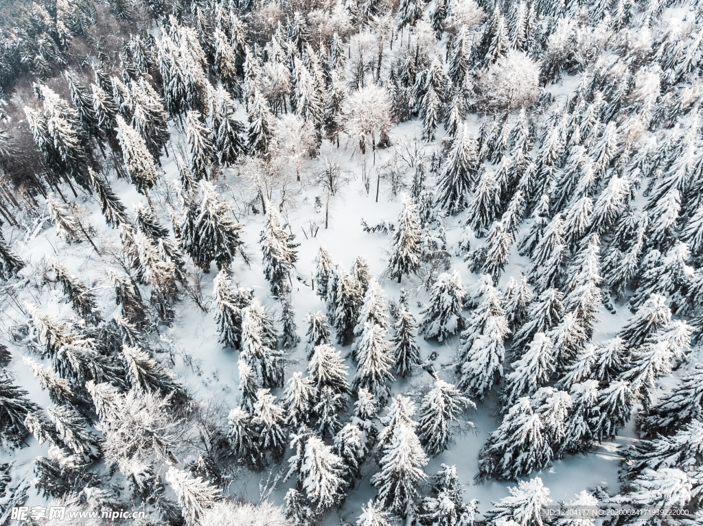 雪地