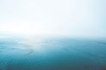 海