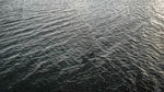 水面 波纹 涟漪