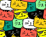 猫头