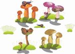蘑菇 蜗牛 草坪