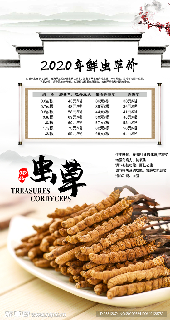 冬虫夏草