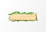 木质木头植物标题边框元素