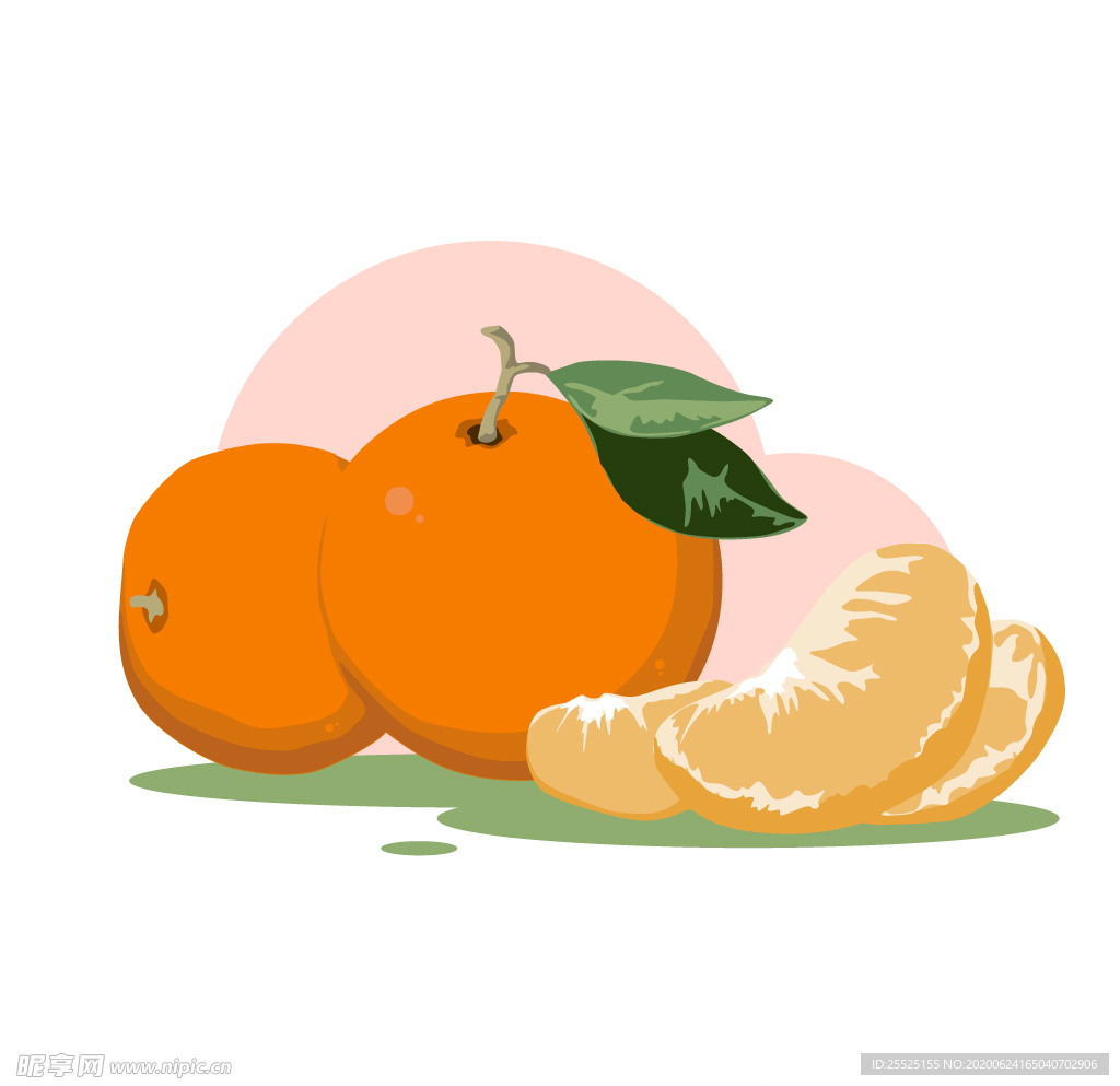 水果系列矢量插画之橘子