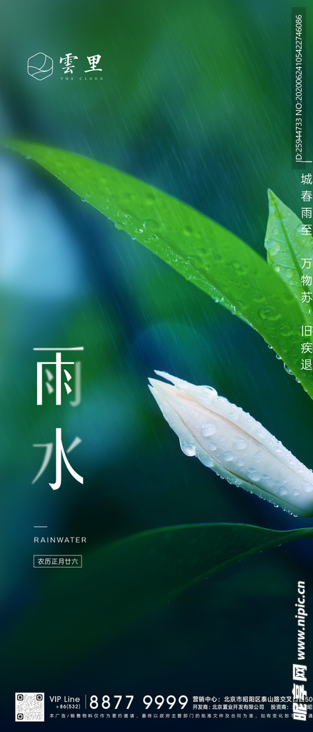 节气刷屏雨水