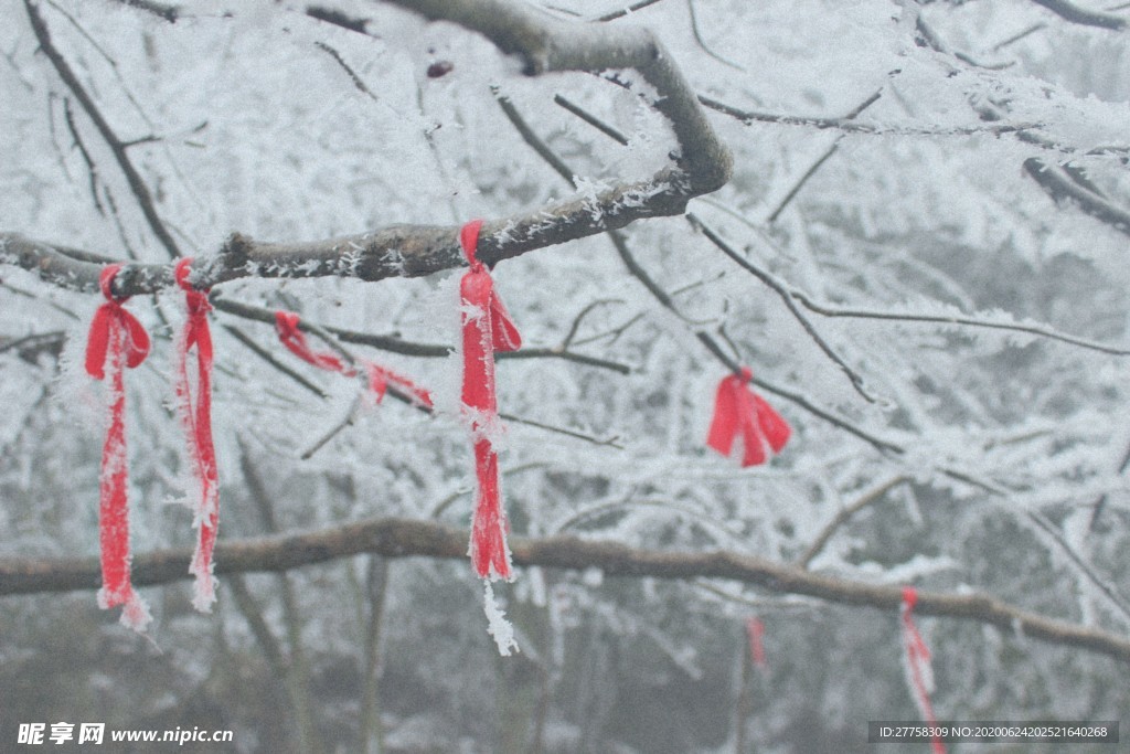 雾凇，大雪