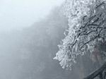 雾凇，大雪