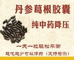 纯中药  降压 胶囊 淡雅古风