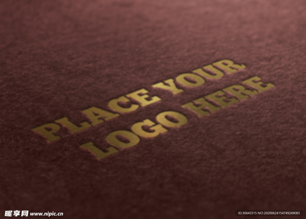 LOGO样机