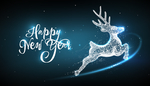 新年快乐