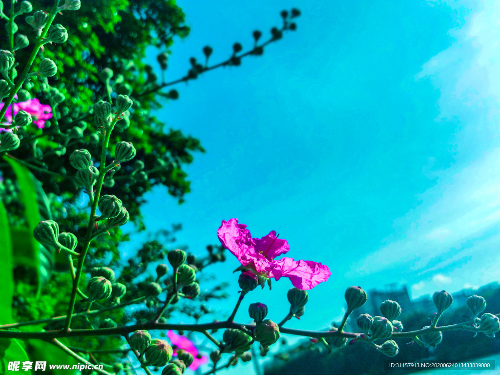 风景
