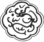 镂空花图案