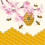 蜂蜜