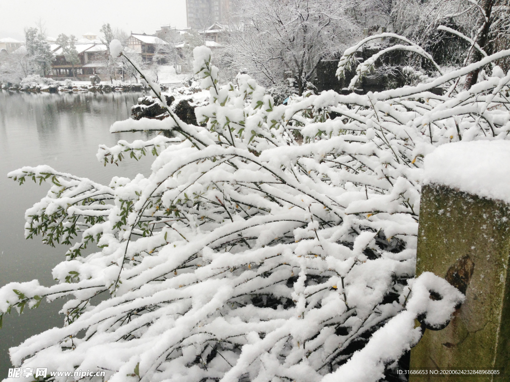 白雪