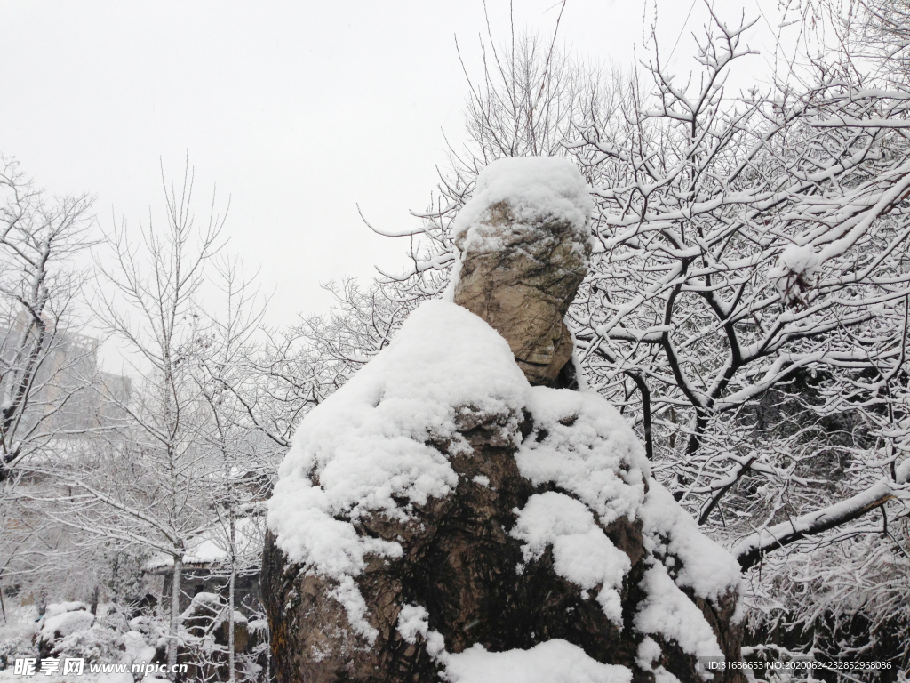 白雪