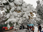 雪景