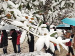 雪