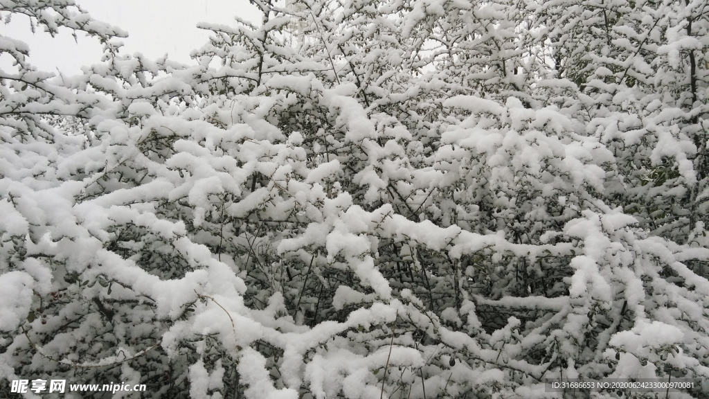 大雪