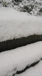 雪