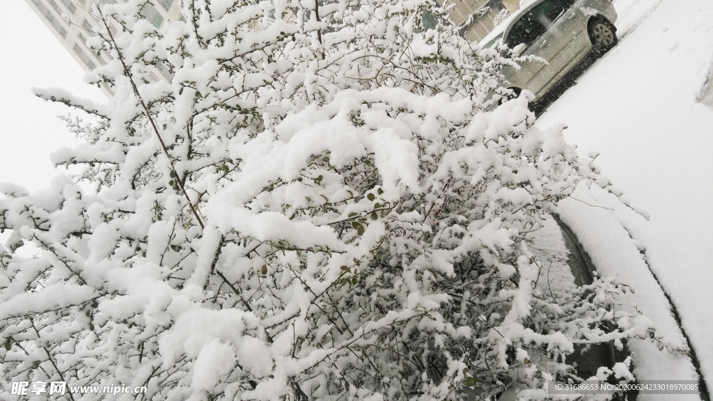 大雪