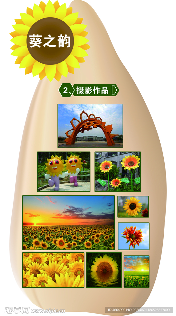 葵之韵