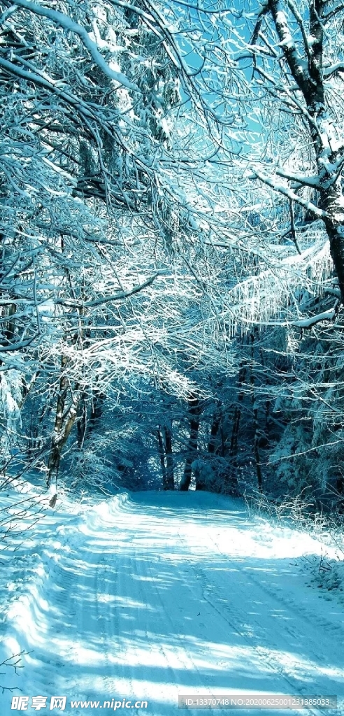 雪景