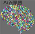 大脑 西药片