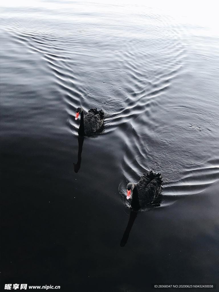 水波