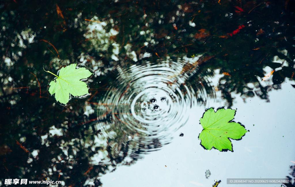 水波