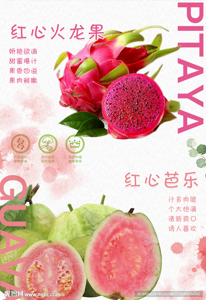 芭乐