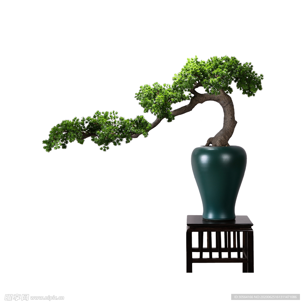 居家绿色植物枝头夏季装饰素材